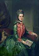 Johann Georg Ziesenis Portrait of Princess Frederika Sophia Wilhelmina oil on canvas